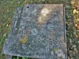 image number Leek Spencer S 715